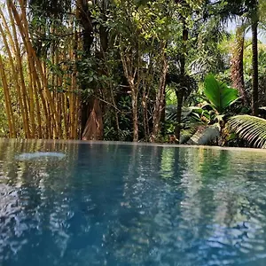 A Peace In Paradise , Anse Royale Seychellen